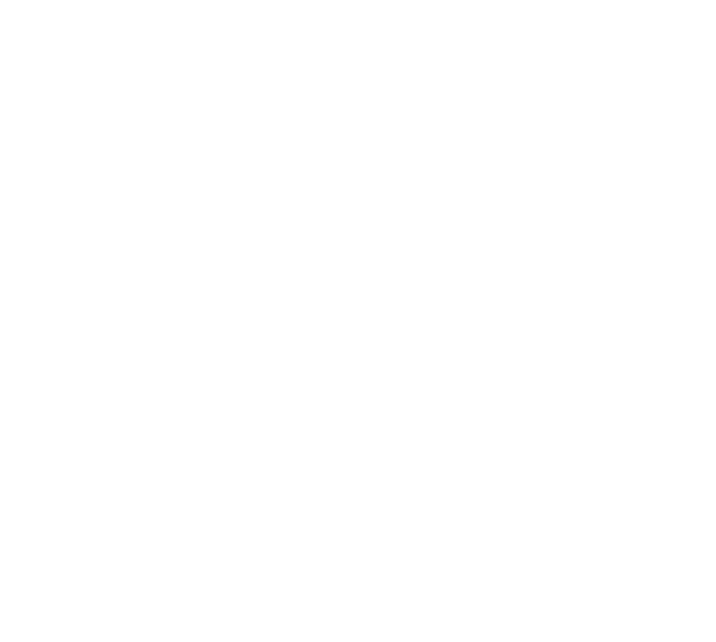 Hall of Fame Inflatables